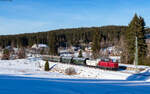 V100 1019 mit dem DPE 74233 (Titisee - Seebrugg) bei Altglashütten 31.12.24