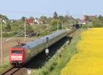 24.5.17 IC 2216 nach Greifswald bei Einfahrt in den Bf Ribnitz-Damgarten West.