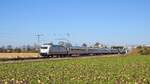 DB Fernverkehr 101 013  50 Jahre Intercity  mit IC 2217 Greifswald - Stuttgart Hbf (Marl, NI, 28.02.2022).