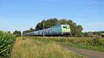 DB Fernverkehr 101 005  DEVK  mit IC 245 Bad Bentheim - Berlin Ostbf (bei Melle, 10.08.2022).