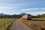 218 411-7 und 218 429-9 ziehen IC 2012 nach Bochum durch Langenwang (23.10.2022)