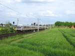 IC 2121  Fehmarn  Puttgarden - Frankfurt (M) Hbf rollt am 16.05.09 hinter Reinfeld (Holst.) an fast verblhten Rapsfeldern Richtung Hamburg Hbf vorbei.