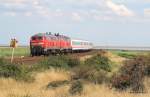 218 397-8 und 218 386-1 poltern am 6.08.09 mit dem RE 2072 aus Dresden Hbf durch die Fotokurve bei Morsum Richtung Westerland/Sylt herrein.