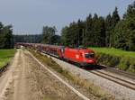 Die 1116 194 mit einem Liegengebliebenen RJ am 23.09.2017 unterwegs bei Teisendorf.