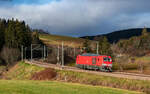 249 028 als T 67000 (Offenburg Gbf - Villingen(Schwarzw)) bei St.Georgen 16.12.24