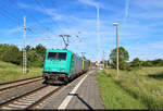 Bekanntes Duo: 185 611-1 und 185 605-3 streben Richtung Halle (Saale). Nachgeschossen im Hp Zscherben.
<a href= https://www.bahnbilder.de/bild/Deutschland~Sonstiges~Lokzuge/1376698/185-605-3-und-185-611-1-duesen.html  target= _blank >Etwa zwei Wochen zuvor</a> sind mir die beiden bereits im Altmühltal begegnet.

🧰 Alpha Trains Luxembourg No.2 S.à r.l. / Alpha Trains Belgium NV/SA, vermietet an die Rail Cargo Logistics - Germany GmbH (RCL)
🕓 9.6.2024 | 18:00 Uhr