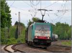 Unterwegs nach Aachen West ist diese belgische Cobra (E 186 213),mit einen gemischten Gterzug am Haken. Bildlich festgerhalten im Mai 2013 bei Eschweiler (Rhl).