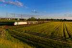 Vor der Kulisse der Bayernoil Raffinerie passiert 185 697 Railpool mit einem BLG-Autotransportzug Neustadt (Donau) in Richtung Regensburg , 29.05.2021