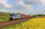 Am 15.Mai 2013 war ein TFG Albatros bei Banteln (KBS 350) mit GA 60090 auf dem Weg nach Bremerhaven.