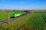 Bild 6000 auf Bahnbilder.de | 193 996 Railpool/TXL mit einem Müllzug bei Uffenheim Richtung Ansbach, 09.05.2021