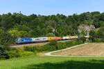 Das Münchner Unternehmen Railpool hat seinen Bestand an Vectrons in den letzten Monaten deutlich aufgestockt. Viele private EVUs haben daraufhin die Loks aus dem Hause Siemens angemietet. Aktuell hat man aus Fotografen-Sicht gefühlt den Eindruck, eine  silberne Flut  habe die  schwarze Pest  (die Loks des einstigen Vermieters MRCE) abgelöst. Am 31. Juli 2024 konnte ich mit 6193 151 innerhalb einer kurzen Zeitspanne am Esslinger Eisenbahntunnel im Altmühltal den dritten Railpool Vectron dokumentieren. Besagte Lok steht für BoxXpress im Einsatz und sie beförderte an diesem Tage einen Containerzug von München Riem nach Hamburg.