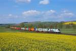 Mittlerweile ein Klassiker auf der Nord-Süd-Strecke ist die 1216 955  Roland , die am 2.5.2015 einen Containerzug durch Haunetal-Neukirchen nordwärts zog