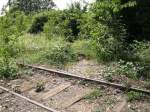 Im Stillgelegten Rangierbahnhofsbereich Buggingen.