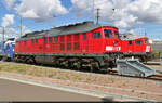 233 232-8 (232 232-9 | 132 232-0) stellte sich beim Tag der Schiene am Samstag den Eisenbahnfreunden in der Zugbildungsanlage (ZBA) Halle (Saale) zur Schau.