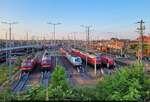 Zugbildungsanlage (ZBA) Halle (Saale): Unter anderem 193 384-5 (Siemens Vectron), 232 469-7 (132 469-8), 193 366-2  Einziganders.  (Siemens Vectron), 233 511-5 (232 511-6 | 132 511-7) und 296 045-8