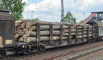 Drehgestell-Flachwagen mit Niederbindeeinrichtung der DB Cargo beladen mit Stammholz mit der Nr. 31 TIV 80 D-DB 4724 089-0 Snps 719 am 06.06.19 in einem gemischten Güterzug Saarmund Bahnhof.