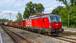 ÖBB-Vectron 91 81 1293 087 mit einem gemischten Güterzug in Aßling am 15.08.2024.