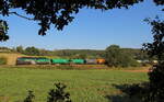 DGS 98609 von Gera nach Vojtanov (CZ) mit 232 413 Budemar West GmbH bei Plauen Chrieschwitz mit einem leeren Getreidezug.