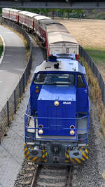 Eine blaue Railflex-Diesellokomotive schiebt ein paar Güterwagen durch den Rheinpark.