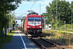 Maik Ampft Eisenbahndienstleistungen, Limbach-Oberfrohna mit ihrer 155 219-9 (NVR: 91 80 6155 219-9 D-MAED) und einem Güterzug am 25. Juni 2024 im Bahnhof Dabendorf.