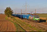 Die Anfang 2022 in Dienst gestellte 193 691-3  Bertha von Suttner  (Siemens Vectron) führt blaue TRANSWAGGON Hackschnitzel-Container der Mercer Holz GmbH durch Braschwitz Richtung Halle (Saale).

🧰 S-Fleet GmbH, eingesetzt bei der Salzburger Eisenbahn Transportlogistik GmbH (SETG)
🕓 30.9.2022 | 17:43 Uhr