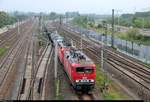 Kesselzug mit 143 310-1 (Lok 607) und 143 ??? der Mitteldeutschen Eisenbahn GmbH (MEG) passiert den Abzweig Thüringen (At) in südlicher Richtung.
Aufgenommen von der Brücke Dieselstraße in Halle (Saale).
[19.5.2018 | 7:29 Uhr]