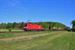 ÖBB Siemens Taurus 1116 136-3 mit KLV am 25.04.20 in Mainz Bischofsheim Netztrennstelle 