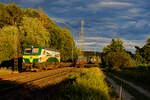 Theaterbeleuchtung für 471 003 GySEV mit einem LKW-Walter KLV-Zug bei Postbauer-Heng Richtung Nürnberg, 24.07.2020