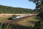 193 760 mit einem  KLV  am 6. August 2022 bei Harrbach am Main.