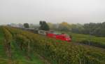 Ein Ambrogio-KLV auf der Fahrt ins Ruhrgebiet in den Erbacher Weinbergen; 21.10.2011