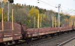 Flachwageneinheiten mit geradem Fußboden und Rungen (Rungensystem ExTe auf Konsolen) vom Einsteller TRANSWAGGON, im Bild der Wagen mit der Nr. 24 RIV 80 D-TWA 4305 562-9(P) Laas für Stammholz-Transporte in einem Ganzzug am 08.11.18 Bf. Berlin-Hohenschönhausen.