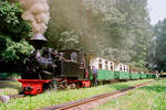 03.08.2003, Weißwasser, Muskauer Waldeisenbahn, Zug mit Lok 99 3312 in Bad Muskau