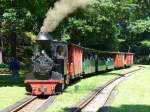 99 3312 mit einen Sonderzug nach Weißwasser am Haken am 31.05.2014 in Bad Muskau.