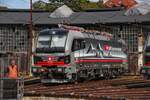 Die werksneue 193 546-9 steht am 22.09.2024 im Bahnpark Augsburg auf von Siemens angemieteten Gleisen.