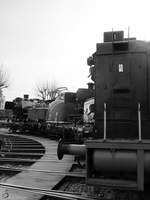 Nasenparade vor der Drehscheibe im Eisenbahnmuseum Bochum-Dahlhausen.