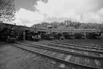 Parade vor dem Rundlokschuppen des Eisenbahnmuseums in Bochum mit den Dampflokomotiven 74 1192, 01 008, 55 3345, 66 002, 97 502, 146 BLE &  RAG D-724  9 , so gesehen im April 2024 anlässlich der