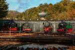 38 2267(P8),55 3345, 66 002 & Hibernia 41-E wurde vor dem Lokschuppen im Eisenbahnmuseum Bochum Dahlhausen beim Herbstfest 2024 präsentiert.