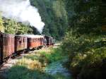 Kuckucksbhnel im Elmsteiner Tal am 19.09.2010 auf dem Rckweg nach Neustadt an der Weinstrae