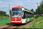 Vossloh Citylink, Wagen 442, der City-Bahn Chemnitz GmbH zeigt sich den Fotografen bei der Lokparade des 28.