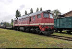 220 366-9 (120 366-0 | LTS M62) steht während des Herbstlokfests auf dem Gelände des Lokschuppen Staßfurt.