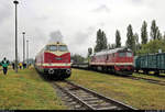 228 586-4 (118 586-7 | 118 086-8 | DR V 180 086) und 220 366-9 (120 366-0 | LTS M62) trotzdem auf dem Gelände des Lokschuppen Staßfurt dem Dauerregen beim Herbstlokfest.