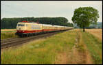 Für die Eisenbahnfreunde Treysa fuhr die legendäre DB Museum 103 245-7 am 01.07.2023 mit TEE  Bodensee-Express  (F 332 Treysa - Lindau-Insel) bei Himmelstadt durch das Maintal.