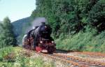  52 7596  Bad Liebenzell  01.08.96