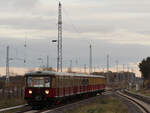 Die Berliner  Weihnachts-S-Bahn  ist unterwegs. Der 4-Wagen-Zug, bestehend aus dem Viertelzug ET/EB 167 006 (führend) und 475/875 605, fährt hier auf der Probefahrt von Berlin gerade in Bahnhof Schönfließ ein und durch. 

Birkenwerder, der 26.11.2023