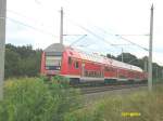 Eine RB von Leipzig Hbf auf dem Weg Richtung Lutherstadt Wittenberg, hier zwischen Bergwitz und Pratau.