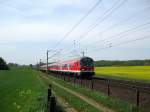 RE 21419 Hamburg Hbf - Kiel Hbf passiert am 26.04.09 ein fast blhendes Rapsfeld bei Reinfeld (Holst.)