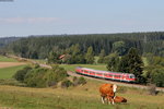 RE 22304 (Neustadt(Schwarzw)-Rottweil) mit Schublok 218 326-7 bei Löffingen 25.9.16