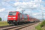 146 229-0  Europa Park  mit ihrer RB (Freiburg (Brsg) Hbf - Basel Bad Bf) am Mittag des 28.06.2020 südlich vin Auggen im Rheintal.