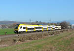 Teningen - 8. März 2024 : 1462 010 am RE 70664 (Ersatz RE 17022) von Basel Nach Offenburg.

Link zum Video : https://www.youtube.com/watch?v=Vpc521X5m6Y&t=22s