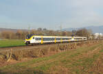 Teningen - 8. März 2024 : 463 017 + 004 an der RB 17124 von Freiburg nach Offenburg. 

Link zum Video : https://www.youtube.com/watch?v=Vpc521X5m6Y&t=22s